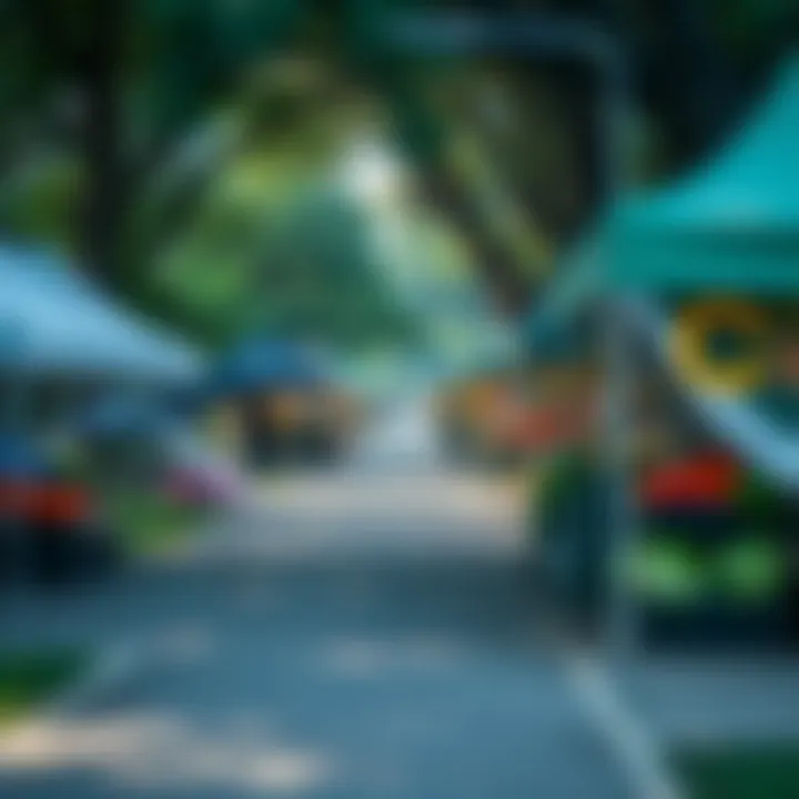 Fruit and Vegetable Vendor Tents Along Park Pathway Park pathway lined with fruit and vegetable vendor tents during trading hours